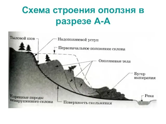 Схема строения оползня в разрезе А-А