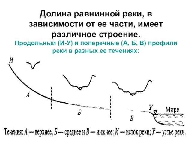 Долина равнинной реки, в зависимости от ее части, имеет различное строение.