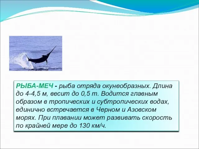 РЫБА-МЕЧ - рыба отряда окунеобразных. Длина до 4-4,5 м, весит до