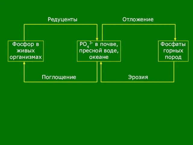 РО43- в почве, пресной воде, океане Фосфаты горных пород Фосфор в