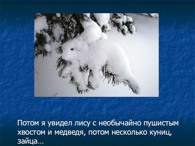 Потом я увидел лису с необычайно пушистым хвостом и медведя, потом несколько куниц, зайца…