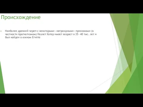 Происхождение Наиболее древний череп с некоторыми «негроидными» признаками (в частности прогнатизмом)