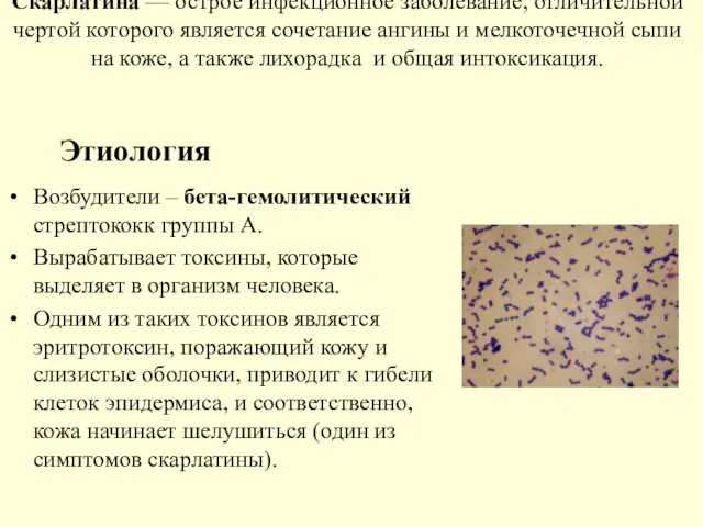 Скарлатина — острое инфекционное заболевание, отличительной чертой которого является сочетание ангины