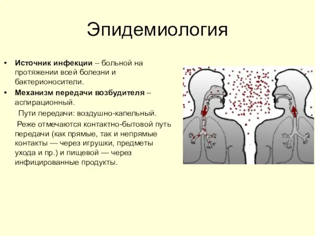 Эпидемиология Источник инфекции – больной на протяжении всей болезни и бактерионосители.