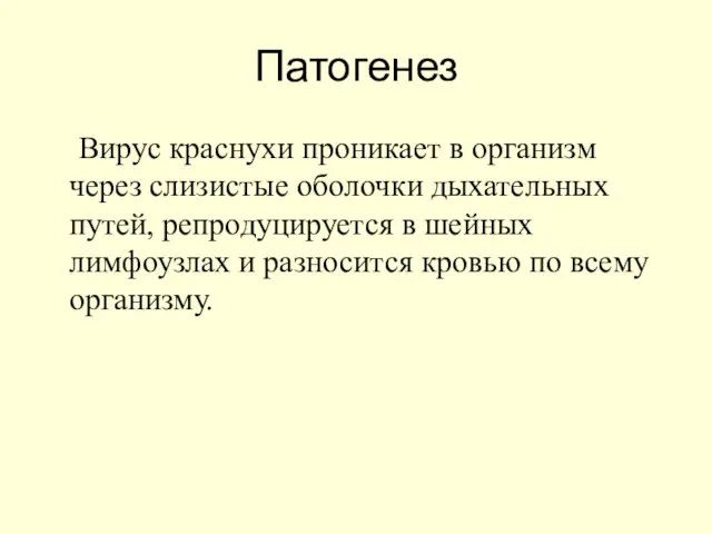 Патогенез Вирус краснухи проникает в организм через слизистые оболочки дыхательных путей,