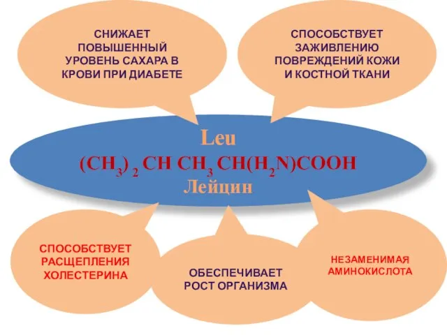 Leu (CH3) 2 CH CH3 CH(H2N)COOH Лейцин СПОСОБСТВУЕТ ЗАЖИВЛЕНИЮ ПОВРЕЖДЕНИЙ КОЖИ