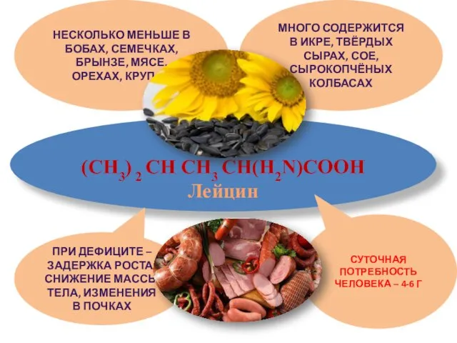 Leu (CH3) 2 CH CH3 CH(H2N)COOH Лейцин МНОГО СОДЕРЖИТСЯ В ИКРЕ,