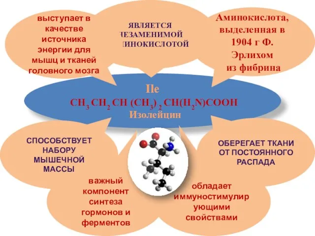 Ile CH3 CH2 CH (CH3) 2 CH(H2N)COOH Изолейцин Аминокислота, выделенная в