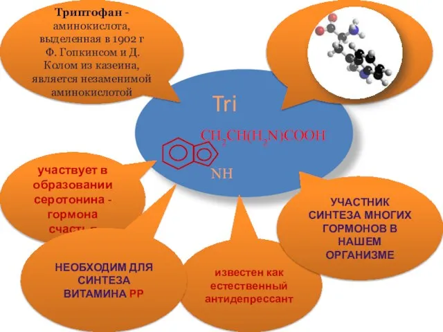 Tri CH2CH(H2N)COOH NH участвует в образовании серотонина - гормона счастья Триптофан