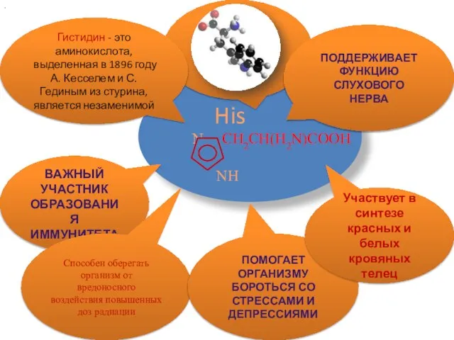 His N CH2CH(H2N)COOH NH ВАЖНЫЙ УЧАСТНИК ОБРАЗОВАНИЯ ИММУНИТЕТА Гистидин - это