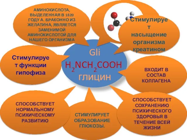 Gli H2NCH2COOH глицин Стимулирует функции гипофиза АМИНОКИСЛОТА, ВЫДЕЛЕННАЯ В 1820 ГОДУ