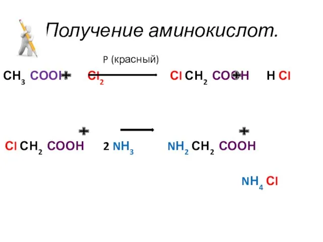 Получение аминокислот. P (красный) СН3 СООН Сl2 Сl СН2 СООН Н