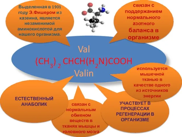 Val (CH3) 2 CHCH(H2N)COOH Valin связан с поддержанием нормального азотного баланса