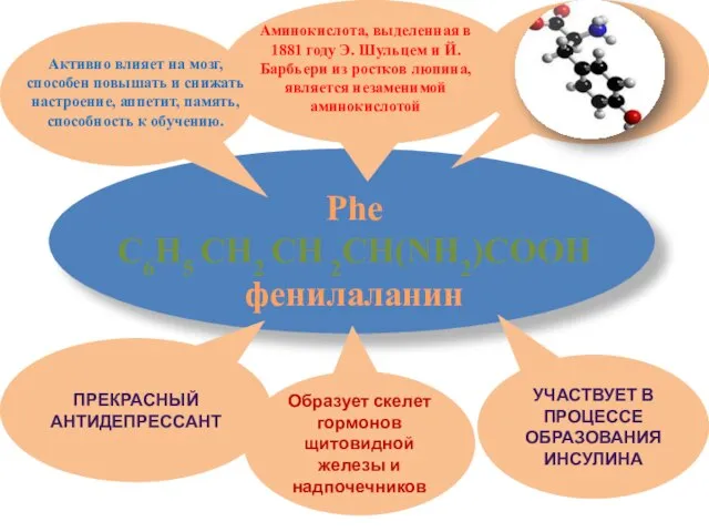 Phe С6H5 CH2 CH 2CH(NH2)COOH фенилаланин УЧАСТВУЕТ В ПРОЦЕССЕ ОБРАЗОВАНИЯ ИНСУЛИНА