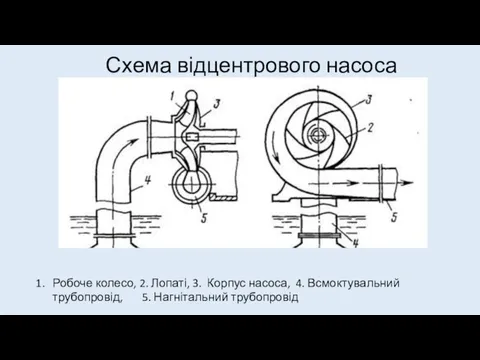 Схема відцентрового насоса Робоче колесо, 2. Лопаті, 3. Корпус насоса, 4. Всмоктувальний трубопровід, 5. Нагнітальний трубопровід