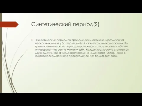 Синтетический период(S) Синтетический период по продолжительности очень различен: от нескольких минут