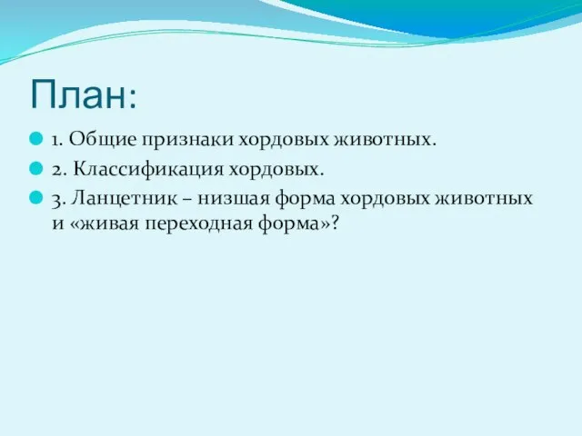 План: 1. Общие признаки хордовых животных. 2. Классификация хордовых. 3. Ланцетник