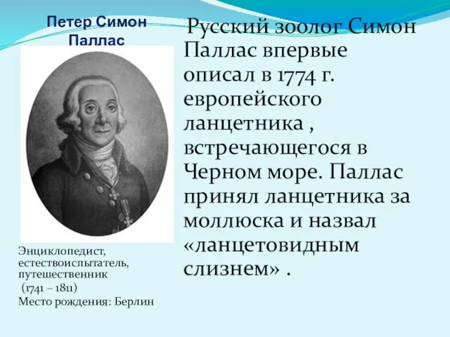 Петер Симон Паллас Энциклопедист, естествоиспытатель, путешественник (1741 – 1811) Место рождения: