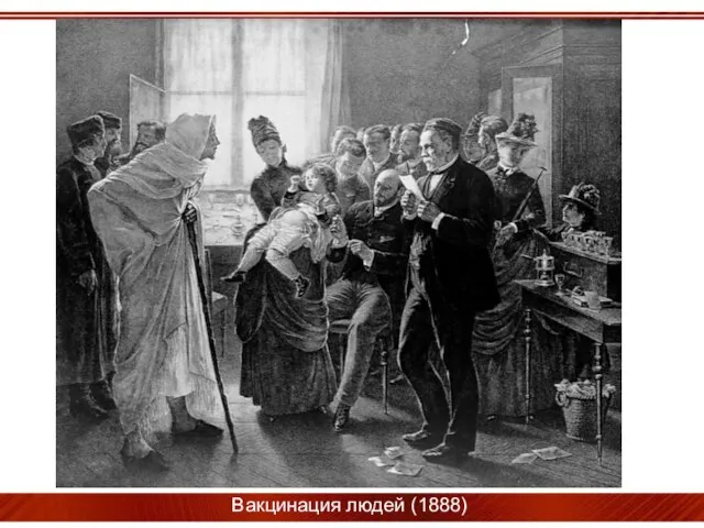 Вакцинация людей (1888)
