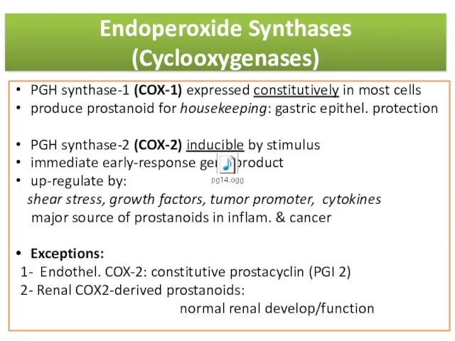 Endoperoxide Synthases (Cyclooxygenases) PGH synthase-1 (COX-1) expressed constitutively in most cells