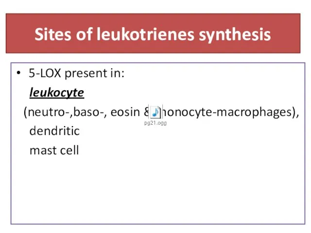 Sites of leukotrienes synthesis 5-LOX present in: leukocyte (neutro-,baso-, eosin & monocyte-macrophages), dendritic mast cell