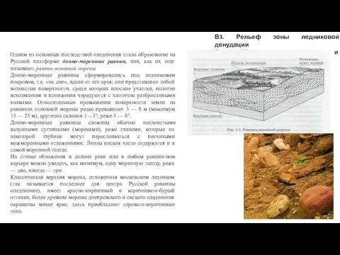 В3. Рельеф зоны ледниковой денудации В3.1 Моренные равнины и возвышенности Одним