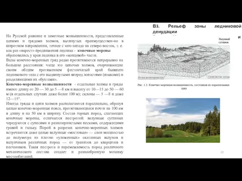 В3. Рельеф зоны ледниковой денудации В3.1 Моренные равнины и возвышенности На