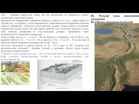 В3. Рельеф зоны ледниковой денудации В3.2 Водно-ледниковый рельеф Озы — длинные