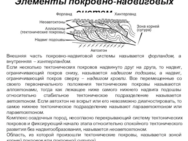 Элементы покровно-надвиговых систем Внешняя часть покровно-надвиговой системы называется форландом, а внутренняя