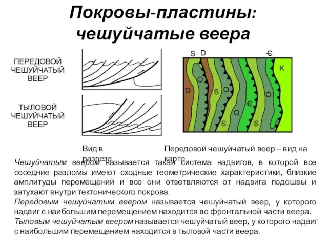 Покровы-пластины: чешуйчатые веера Вид в разрезе Передовой чешуйчатый веер – вид