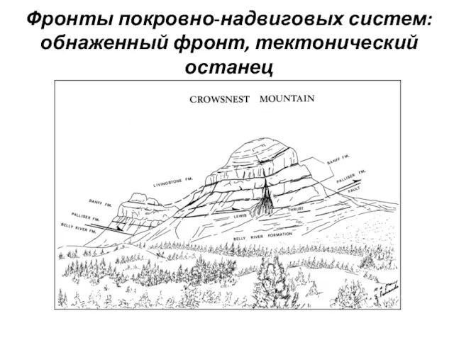 Фронты покровно-надвиговых систем: обнаженный фронт, тектонический останец