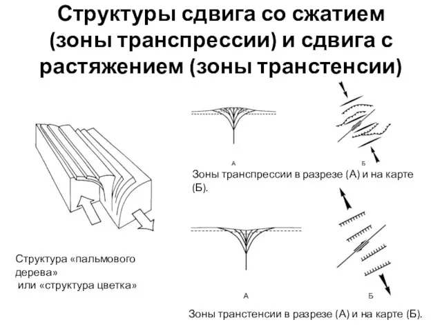 Структуры сдвига со сжатием (зоны транспрессии) и сдвига с растяжением (зоны