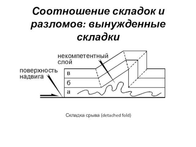 Соотношение складок и разломов: вынужденные складки Складка срыва (detached fold)