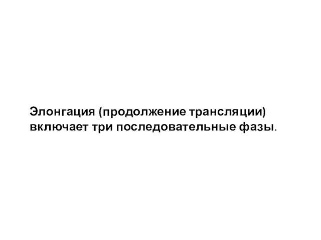 Элонгация (продолжение трансляции) включает три последовательные фазы.