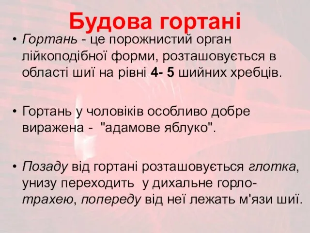 Будова гортані Гортань - це порожнистий орган лійкоподібної форми, розташовується в