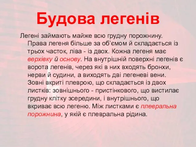 Будова легенів Легені займають майже всю грудну порожнину. Права легеня більше