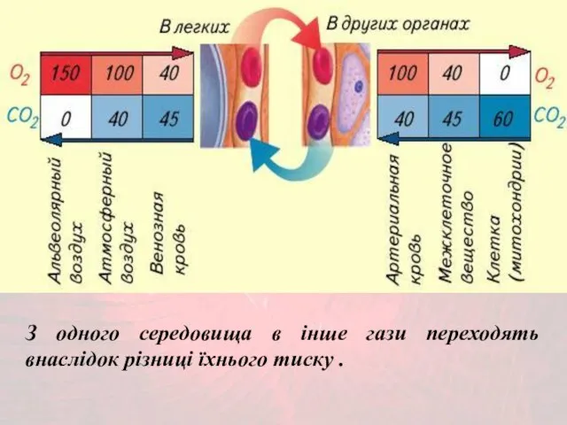 З одного середовища в інше гази переходять внаслідок різниці їхнього тиску .