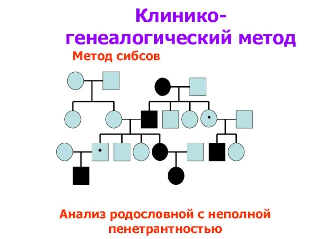 . . Клинико-генеалогический метод Анализ родословной с неполной пенетрантностью Метод сибсов