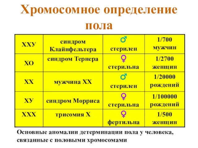 Хромосомное определение пола Основные аномалии детерминации пола у человека, связанные с половыми хромосомами