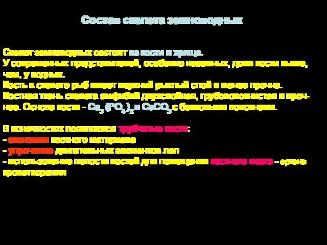 Скелет земноводных состоит из кости и хряща. У современных представителей, особенно