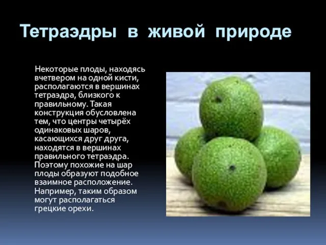 Тетраэдры в живой природе Некоторые плоды, находясь вчетвером на одной кисти,