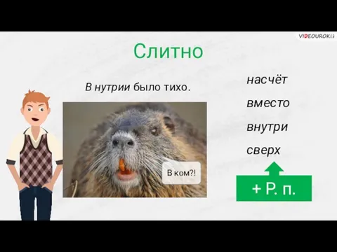 Слитно насчёт вместо внутри сверх + Р. п. В нутрии было тихо. В ком?!