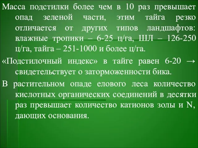 Масса подстилки более чем в 10 раз превышает опад зеленой части,