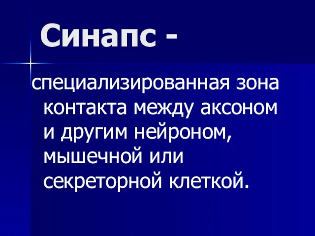 Синапс - специализированная зона контакта между аксоном и другим нейроном, мышечной или секреторной клеткой.