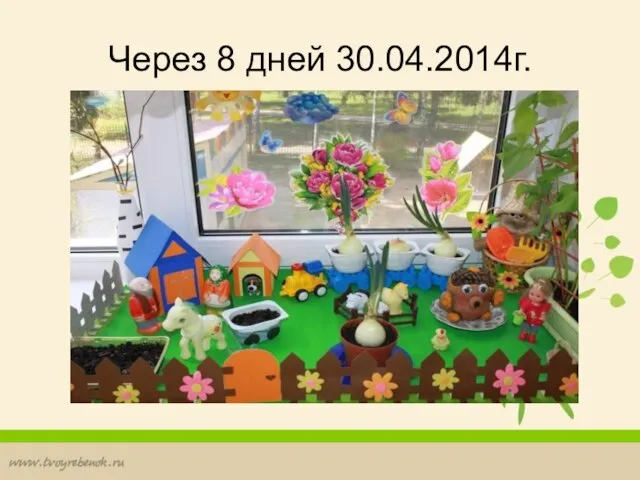 Через 8 дней 30.04.2014г.