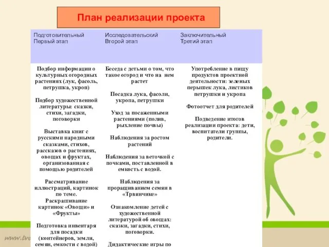 План реализации проекта