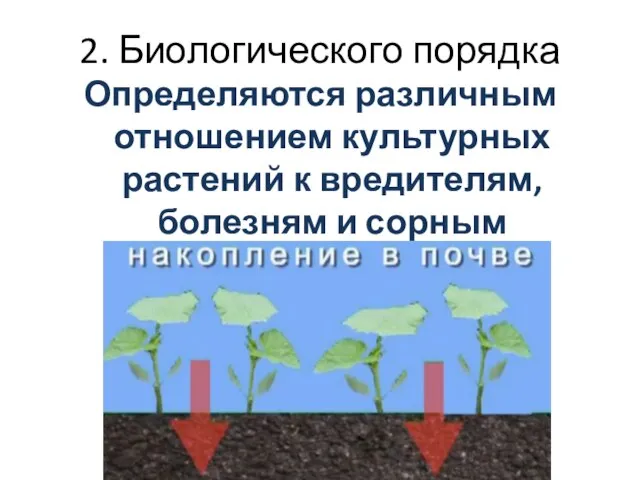 2. Биологического порядка Определяются различным отношением культурных растений к вредителям, болезням и сорным растениям.