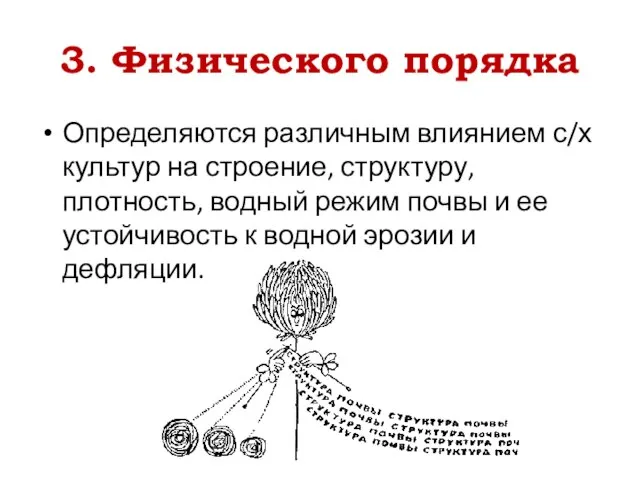 3. Физического порядка Определяются различным влиянием с/х культур на строение, структуру,