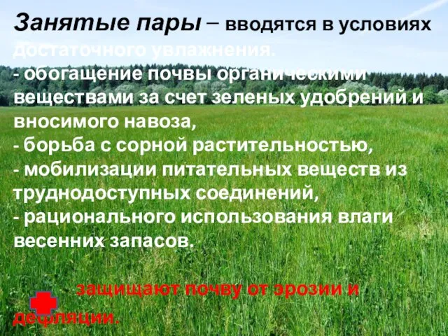 Занятые пары – вводятся в условиях достаточного увлажнения. - обогащение почвы