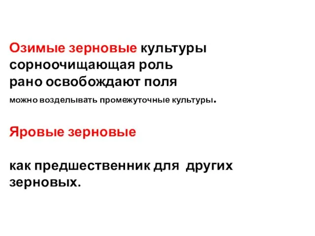 Озимые зерновые культуры сорноочищающая роль рано освобождают поля можно возделывать промежуточные